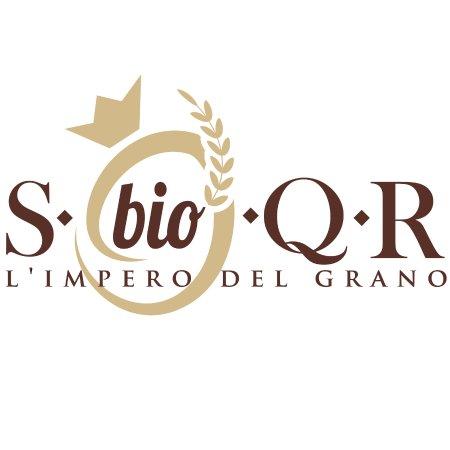 S Bio Q R